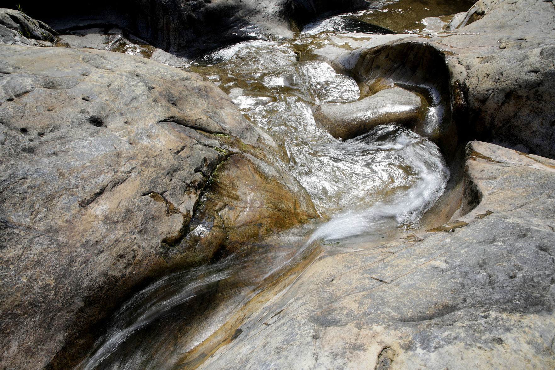 NICKEL PRESERVE